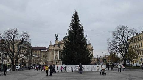 Головну ялинку Львова обиратимуть серед 15 пропозицій
