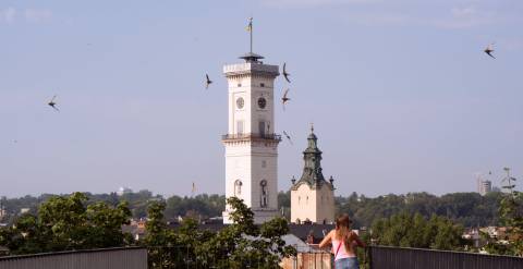 У першому півріччі цього року в закордонних відрядженнях побували 17 депутатів Львівської міськради