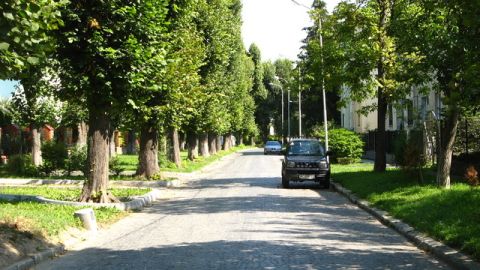 На території Професорської колонії заборонили будівництво