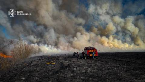 За добу на Львівщині зафіксували майже 200 пожеж сухостою