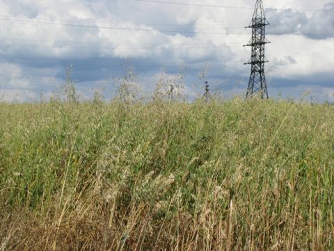 На Самбірщині сільрада незаконно надала в оренду ділянку у мільйон гривень