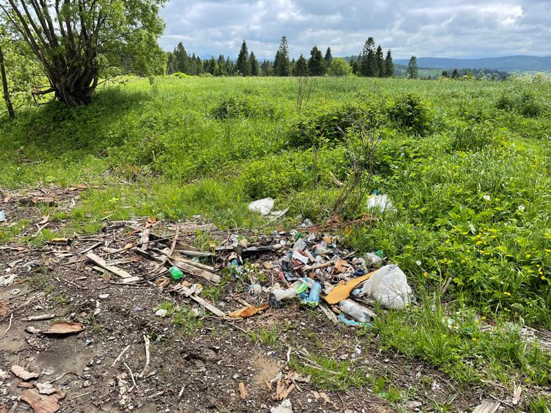 Поблизу Турки виявили незаконне звалище сміття і будвідходів