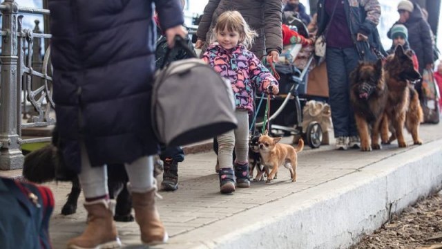 На Львівщині за добу прийняли понад 225 переселенців