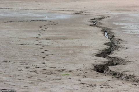 Курс валют у Львові на 29 жовтня