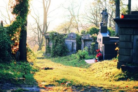 Жінка викрадала надгробні таблички з цвинтаря
