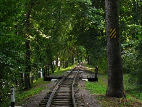 Львівська дитяча залізниця відкриє сезон руху потягів 11 травня