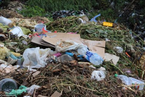 У лісі на Житомирщині виявили сміття зі Львова