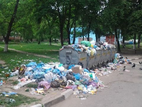 Половина місцевих рад Львівщини порушує антимонопольне законодавство щодо вивезення сміття