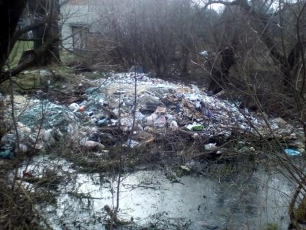На березі річки у Буському районі виявили незаконний скид сміття