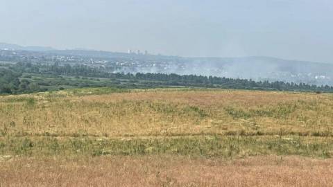 У Дублянах уже четверту добу горять торфові поля