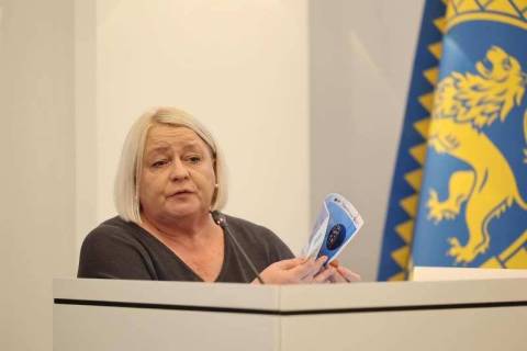 Заступниця Садового Кулинич за рік зібрала вісім тисяч доларів готівки