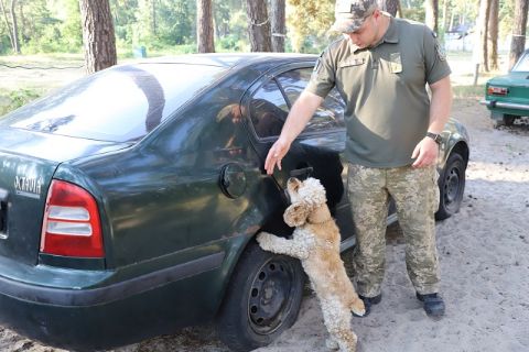 Черга з 40 авто чекає на виїзд до Польщі у Краківці