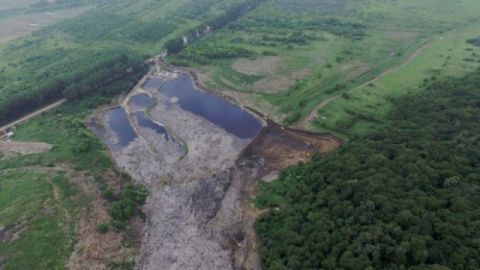 Львівська мерія не вивозитиме сміття на Грибовичі один тиждень