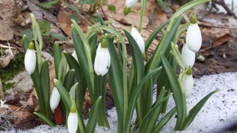 Потепління прийде 11 квітня - Укргідрометцентр