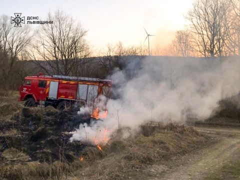 За добу на Львівщині зафіксували шість пожеж сухостою