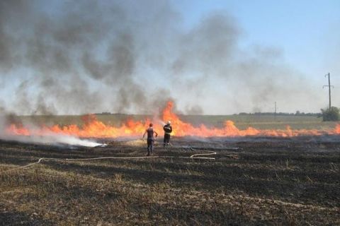 На Львівщині вогонь знищив посівні площі