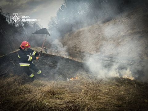 На Львівщині виникло понад 30 пожеж  сухої трави та чагарнику