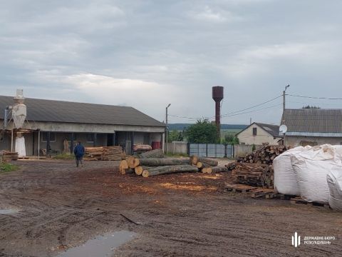 ДБР завершило розслідування щодо вирубки лісу на території Золочівського лісгоспу