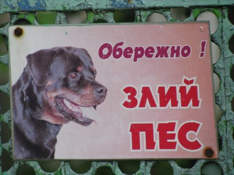 На Пустомитівщині собаки насмерть загризли людину