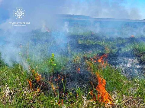 За добу на Львівщині зафіксували вісім пожеж сухостою