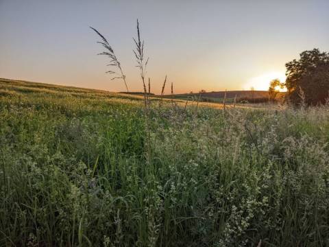 Російські окупанти випустили по Україні понад 90 безпілотників