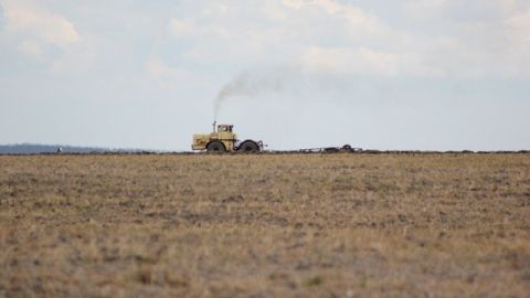 Більше 100 земельних угод зареєстрували на Львівщині з початку дії ринку землі