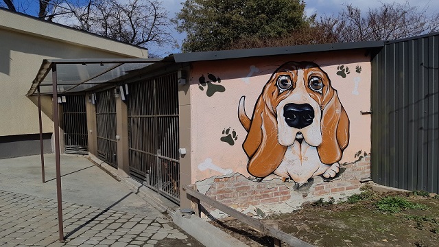 Львівський банк крові врятував перше життя цуценяти