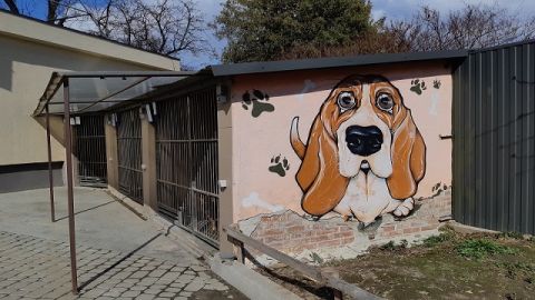 Львівський банк крові врятував перше життя цуценяти