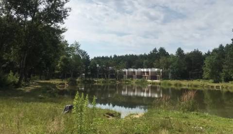 Господарський суд Львівської області відмовив у скасуванні реєстрації земельної ділянки в Брюховичах