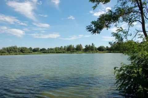 У Дрогобицькому районі чоловік потонув у озері