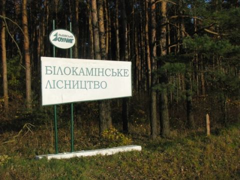 На Львівщині тимчасово заборонили відвідувати ліси та розпалювати багаття