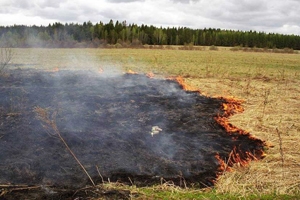 12,3 га сухої трави згоріло на Львівщині протягом вихідних