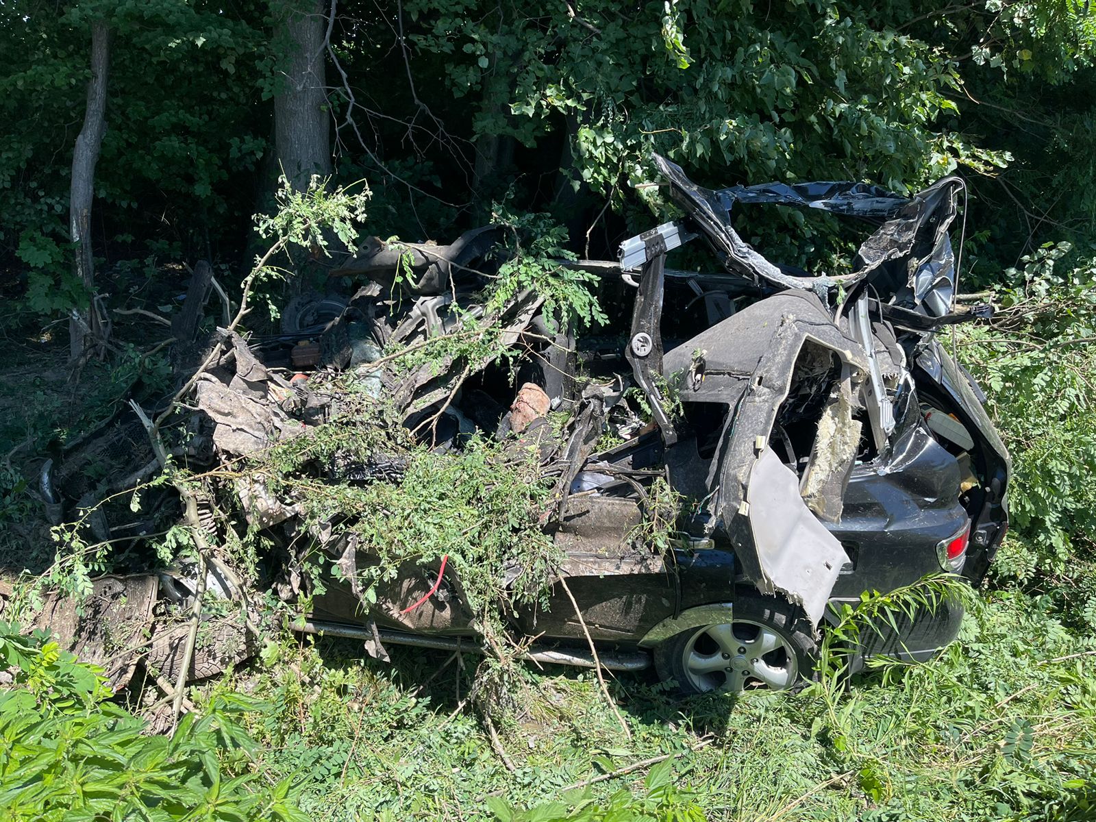 На трасі Львів – Самбір – Ужгород авто SsangYong Kyron врізалось у дерево: є загиблі