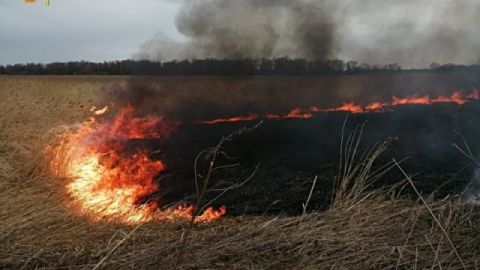 За добу на Львівщині зафіксували шість пожеж сухостою