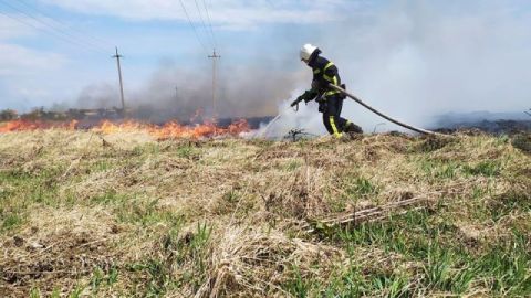 За добу на Львівщині зафіксували три пожежі сухостою