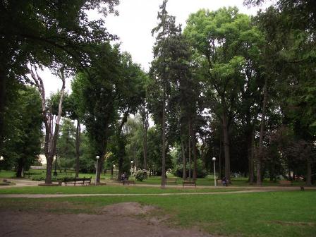 У Стрийському парку обрізають дерева