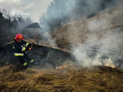 За добу на Львівщині зафіксували понад 20 пожеж сухостою