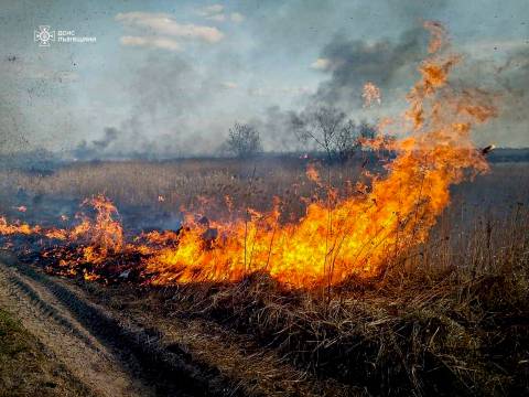 За добу на Львівщині зафіксували 45 пожеж сухостою