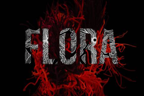 ummsbiaus "Flora"
(2026)