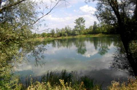 Озеро геологів (фото: 1ua.com.ua, автор: Петро Мелешко)