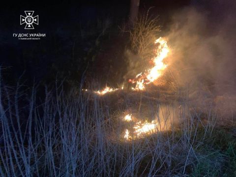 За добу на Львівщині зафіксували дві пожежі сухостою