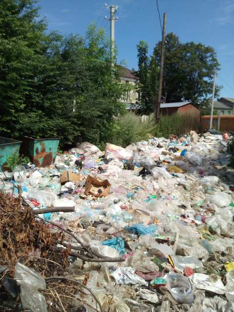 У центрі міста на Старосамбірщині виявили незаконне сміттєзвалище