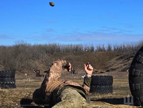 Добровольці