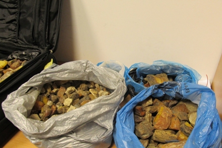 Львівські митники затримали понад 70 кг бурштину