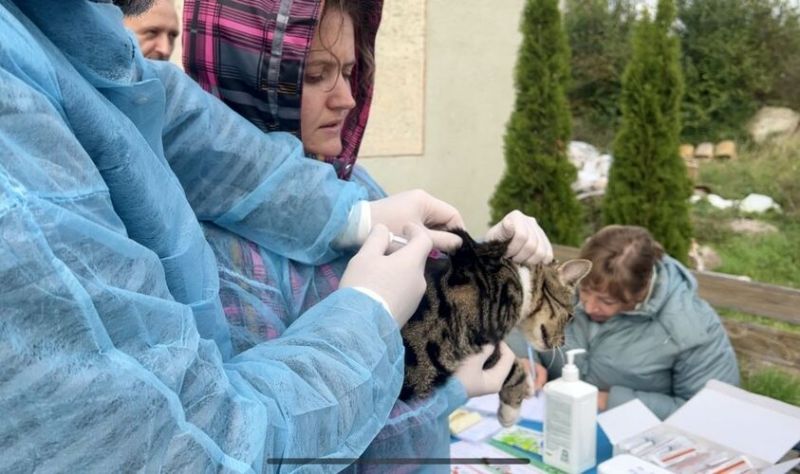 У Брюховичах для домашніх тварин проведуть безкоштовну вакцинацію від сказу