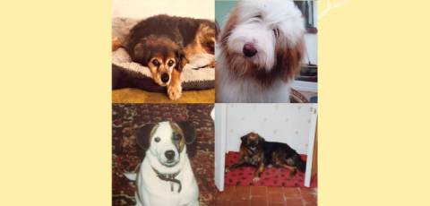 Погода на вівторок: без опадів, +12°C