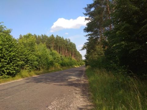 Мешканцям Яворівщини заборонили відвідувати ліси та зупинки транспорту