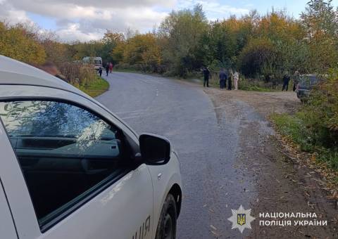 На Самбірщині водій вантажівки на смерть збив пішохода
