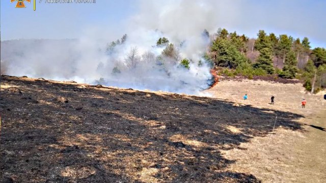 За добу на Львівщині зафіксували п'ять пожеж сухостою