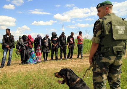 На Львівщині на кордоні затримали двох камерунок і двох сирійців